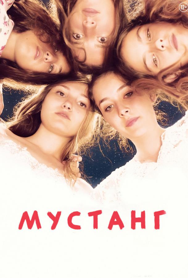Фильм Мустанг (2015) смотреть онлайн в хорошем качестве